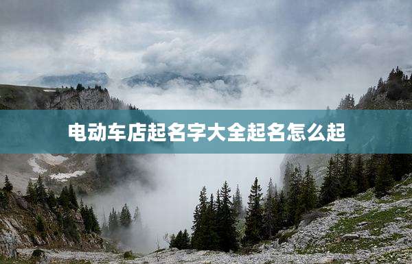 电动车店起名字大全起名怎么起