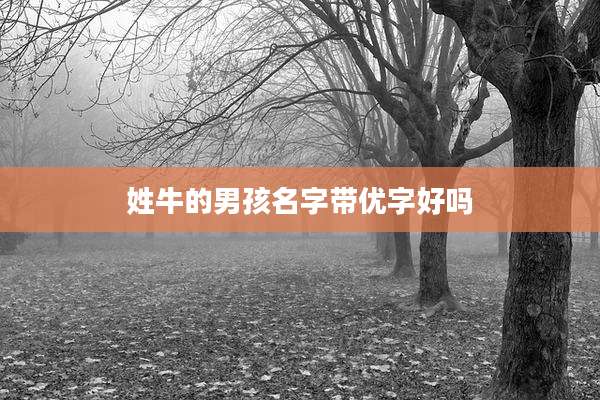 姓牛的男孩名字带优字好吗