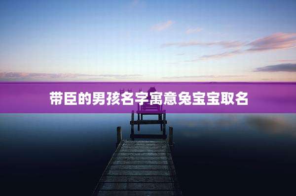 带臣的男孩名字寓意兔宝宝取名