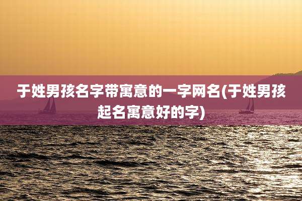 于姓男孩名字带寓意的一字网名(于姓男孩起名寓意好的字)