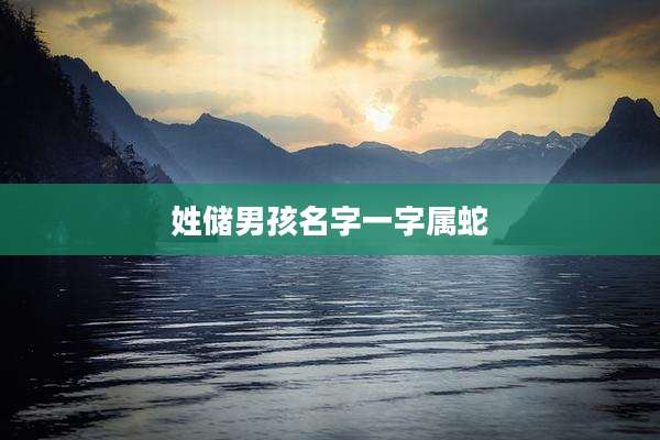姓储男孩名字一字属蛇