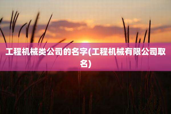 工程机械类公司的名字(工程机械有限公司取名)