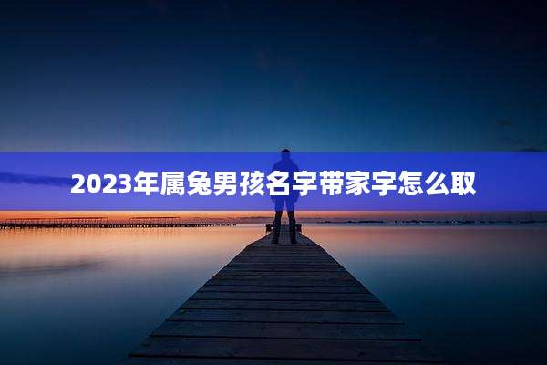 2023年属兔男孩名字带家字怎么取