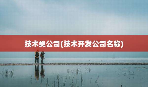 技术类公司(技术开发公司名称)