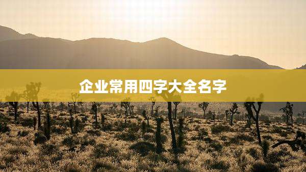 企业常用四字大全名字