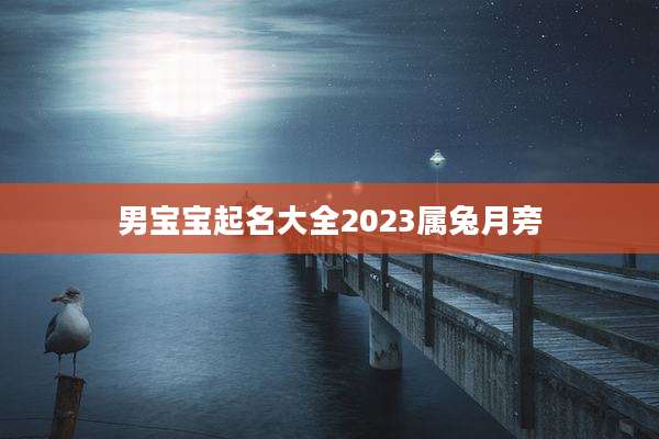 男宝宝起名大全2023属兔月旁