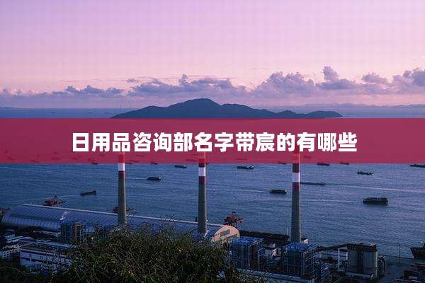 日用品咨询部名字带宸的有哪些