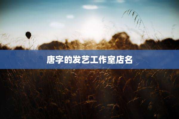唐字的发艺工作室店名