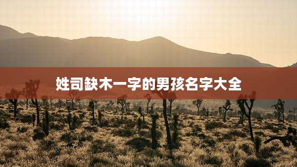 姓司缺木一字的男孩名字大全