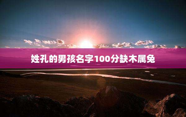 姓孔的男孩名字100分缺木属兔