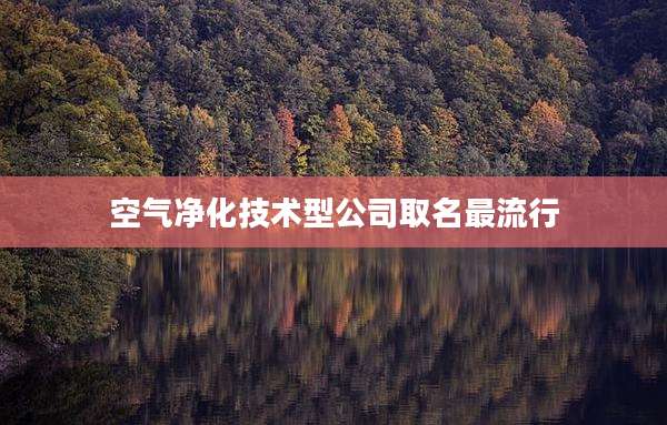 空气净化技术型公司取名最流行