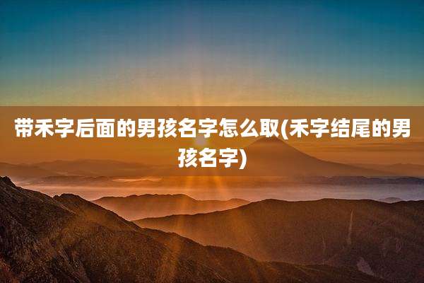 带禾字后面的男孩名字怎么取(禾字结尾的男孩名字)