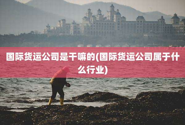 国际货运公司是干嘛的(国际货运公司属于什么行业)
