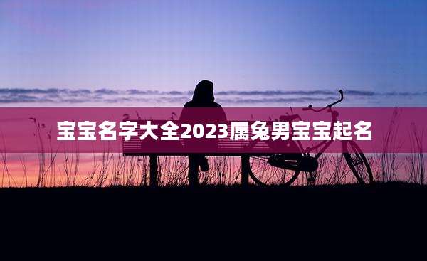 宝宝名字大全2023属兔男宝宝起名