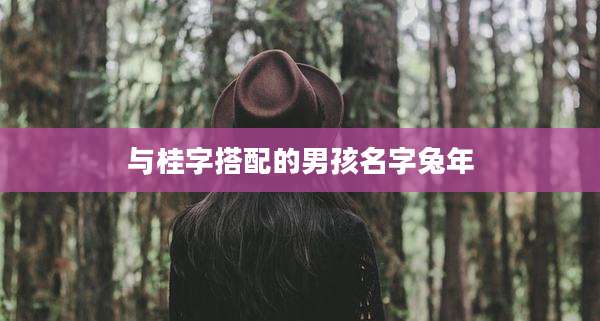 与桂字搭配的男孩名字兔年