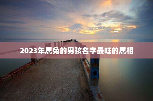 2023年属兔的男孩名字最旺的属相