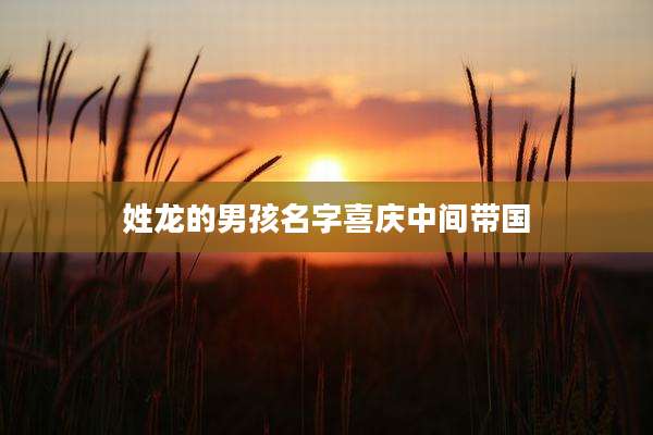 姓龙的男孩名字喜庆中间带国