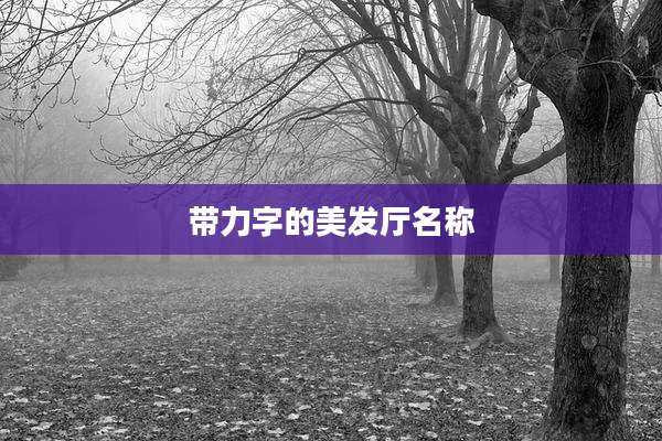 带力字的美发厅名称