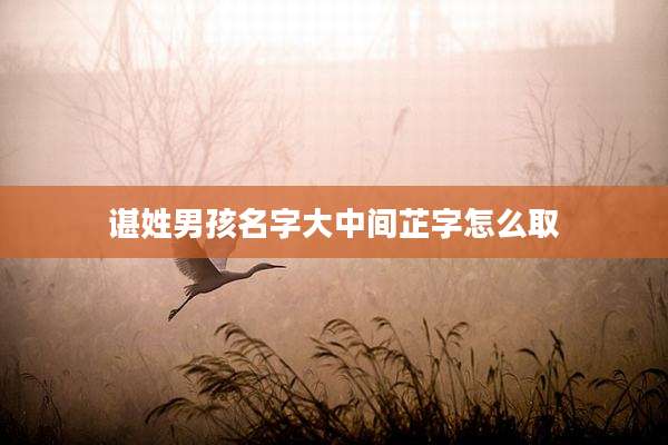 谌姓男孩名字大中间芷字怎么取