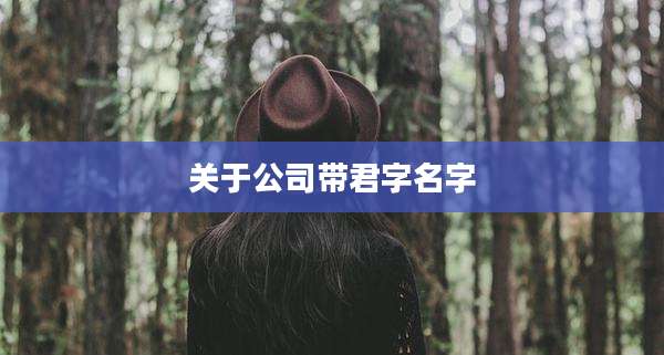 关于公司带君字名字