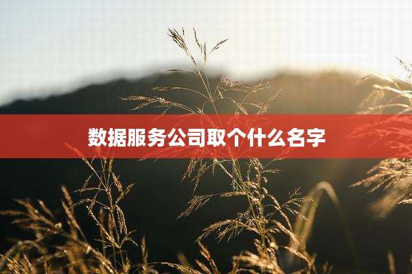 数据服务公司取个什么名字