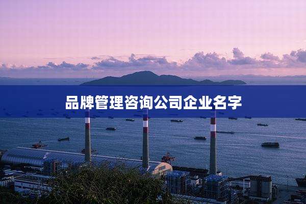 品牌管理咨询公司企业名字