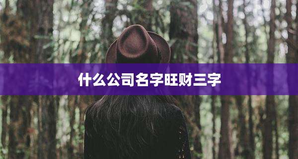 什么公司名字旺财三字