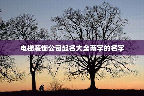 电梯装饰公司起名大全两字的名字