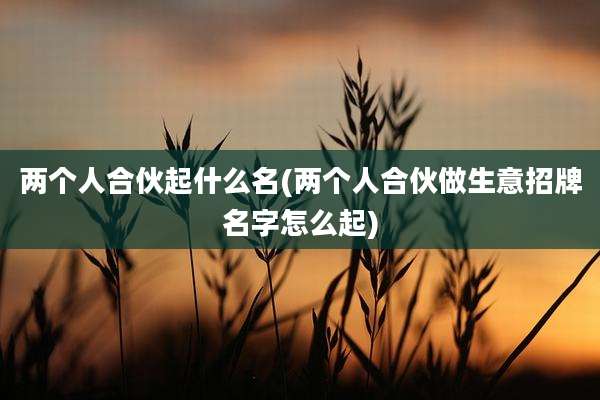 两个人合伙起什么名(两个人合伙做生意招牌名字怎么起)