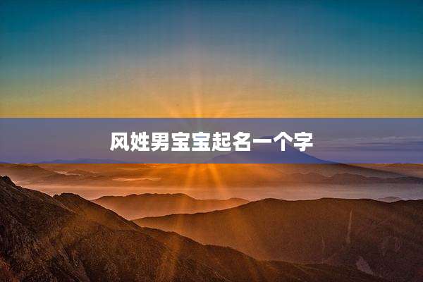 风姓男宝宝起名一个字