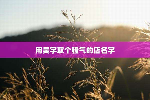 用昊字取个骚气的店名字