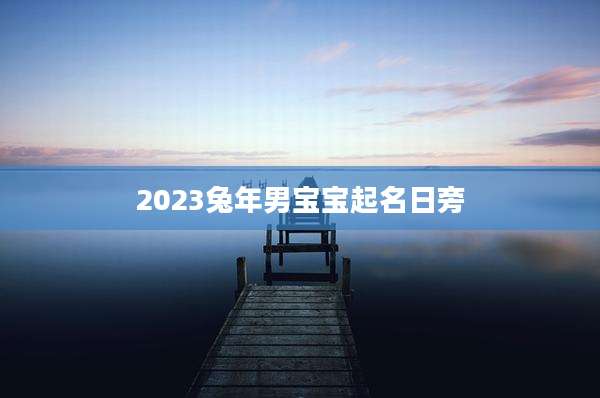 2023兔年男宝宝起名日旁