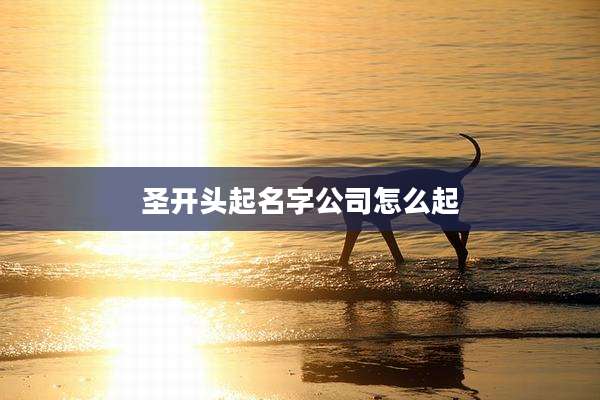 圣开头起名字公司怎么起