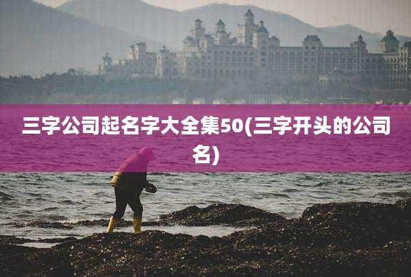 三字公司起名字大全集50(三字开头的公司名)