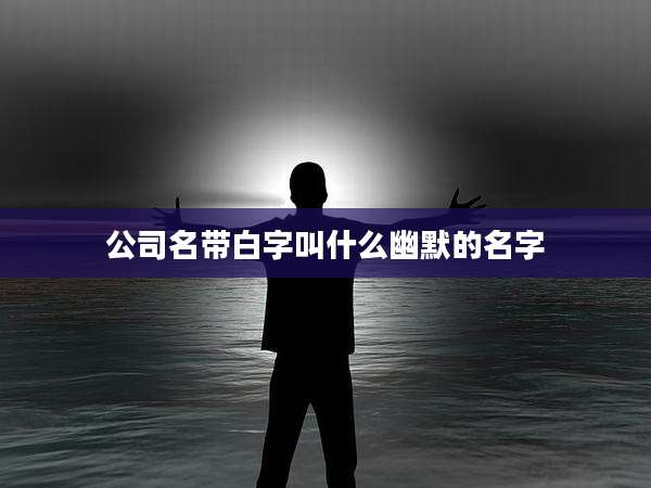 公司名带白字叫什么幽默的名字