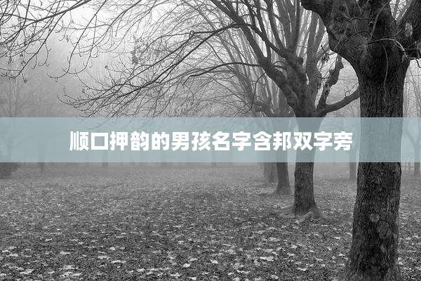 顺口押韵的男孩名字含邦双字旁