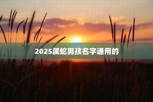 2025属蛇男孩名字通用的
