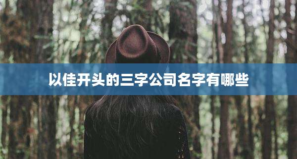 以佳开头的三字公司名字有哪些