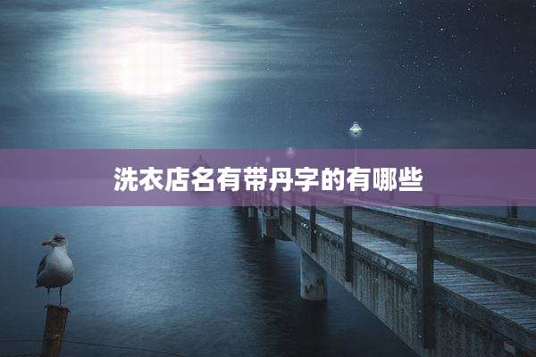 洗衣店名有带丹字的有哪些