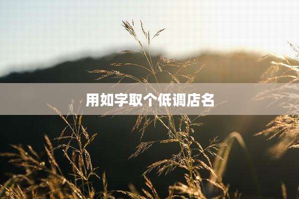 用如字取个低调店名