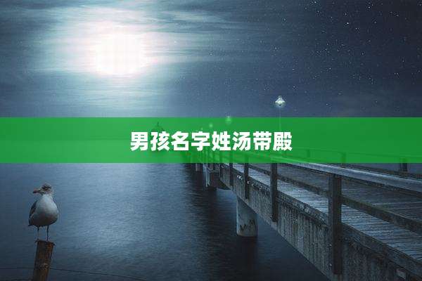 男孩名字姓汤带殿