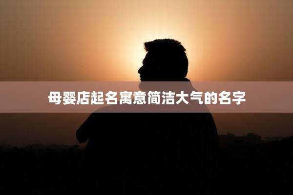 母婴店起名寓意简洁大气的名字