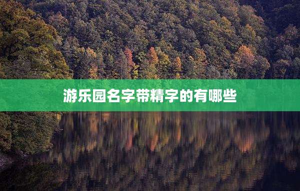 游乐园名字带精字的有哪些