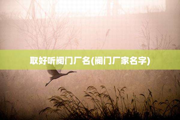 取好听阀门厂名(阀门厂家名字)