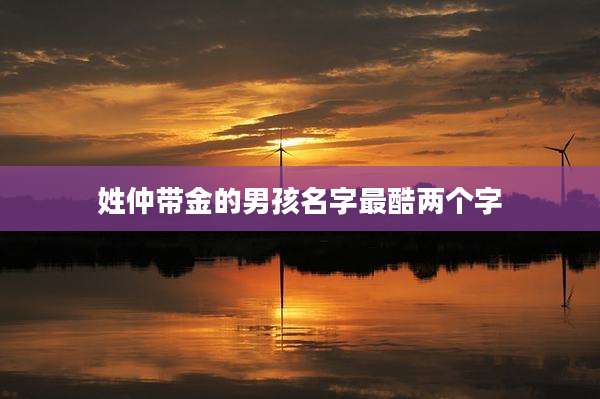 姓仲带金的男孩名字最酷两个字