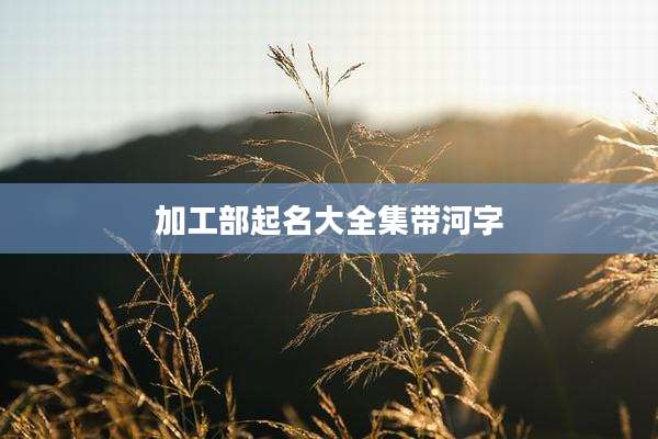 加工部起名大全集带河字