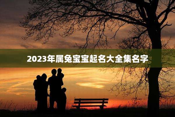 2023年属兔宝宝起名大全集名字