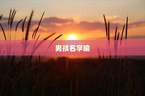 男孩名字瑜