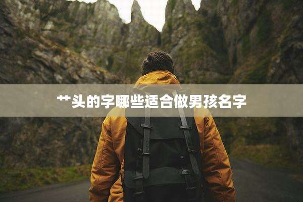 艹头的字哪些适合做男孩名字