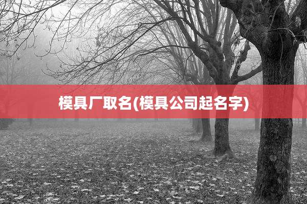 模具厂取名(模具公司起名字)